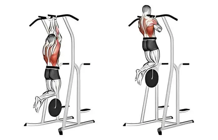 Weighted pull up chin ups